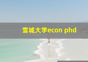 雪城大学econ phd